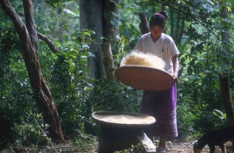 Improving Nitrogenuse Efficiency for Climate Change Mitigation in the